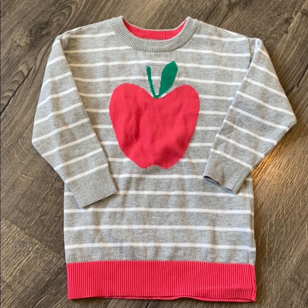 Gap Tunic sweater with Apple